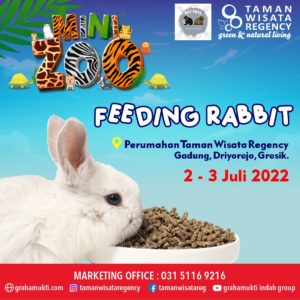 Feeding Rabbit
