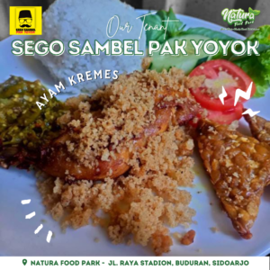 SEGO SAMBEL P YOYOK - AYAM KREMES