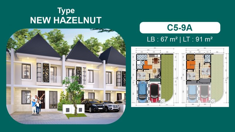 New Hazelnut Kav. C5-9A