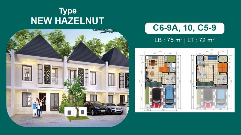 New Hazelnut Kav. C6-9A, 10, C5-9